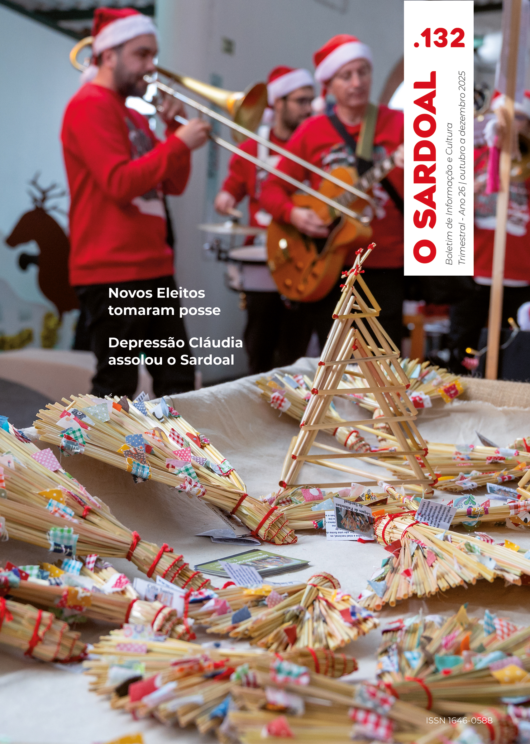 boletim 132 capa WEB