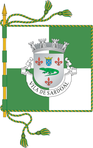 bandeira municipio