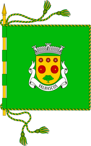 bandeira valhascos