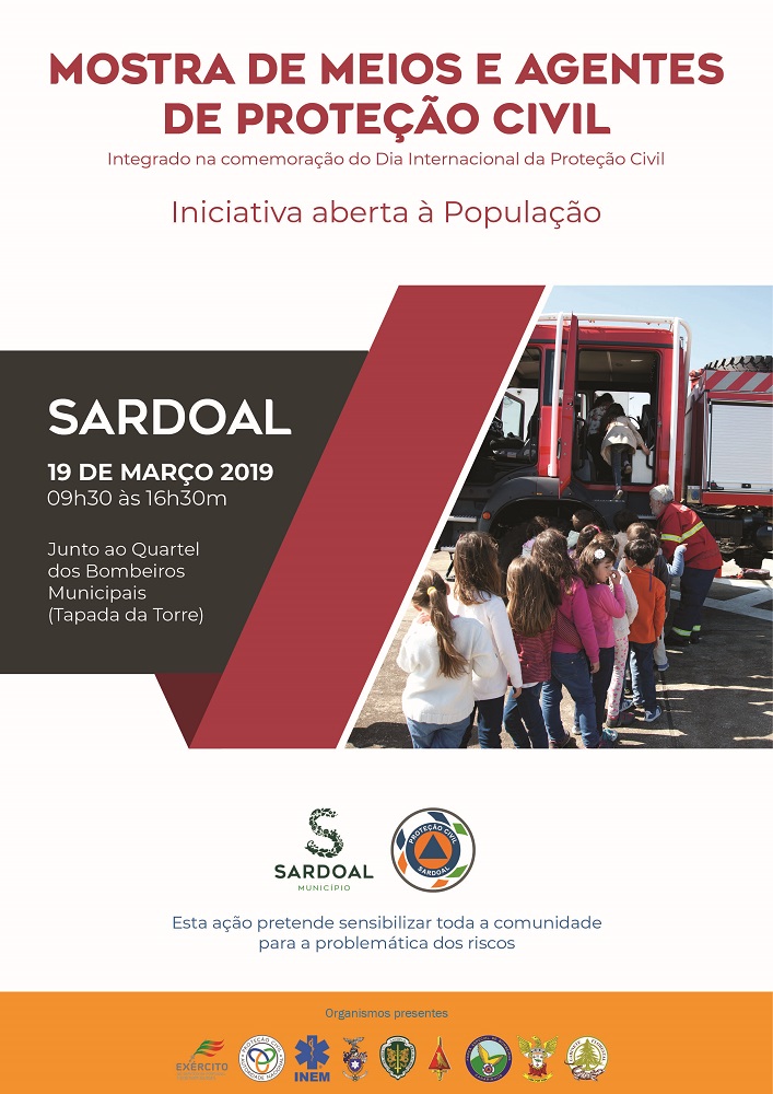 cartaz dia internacional protecao civil