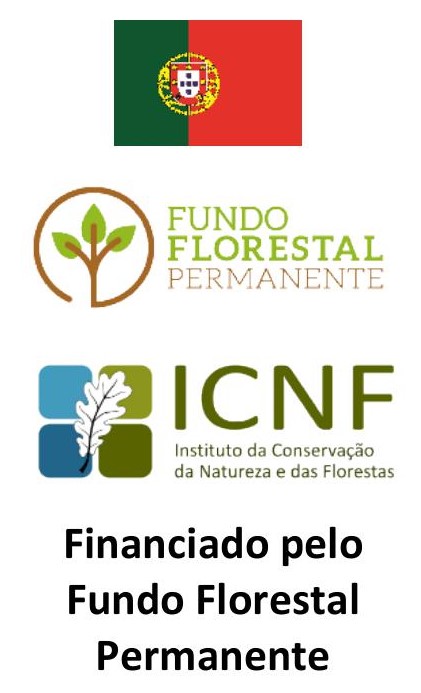 FFP