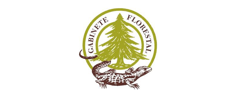 banner noticia gabinete florestal