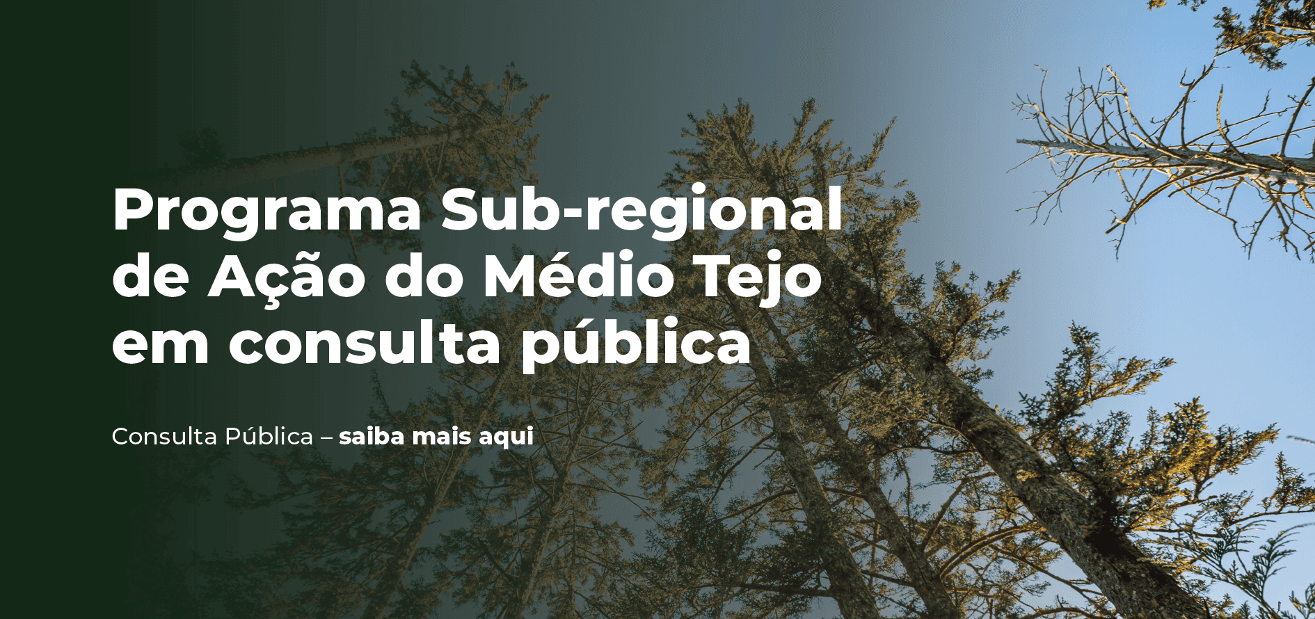 Consulta Pública Programa Sub-regional de Ação (PSA) do Médio Tejo