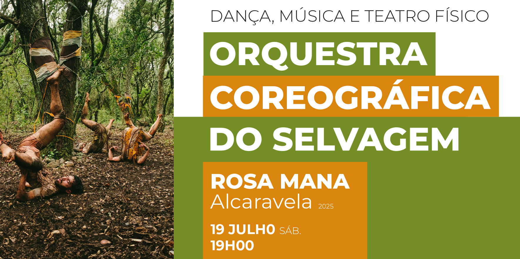 Espetáculo "Orquestra Coreográfica do Selvagem"