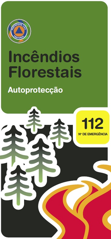 incendio floresta auto